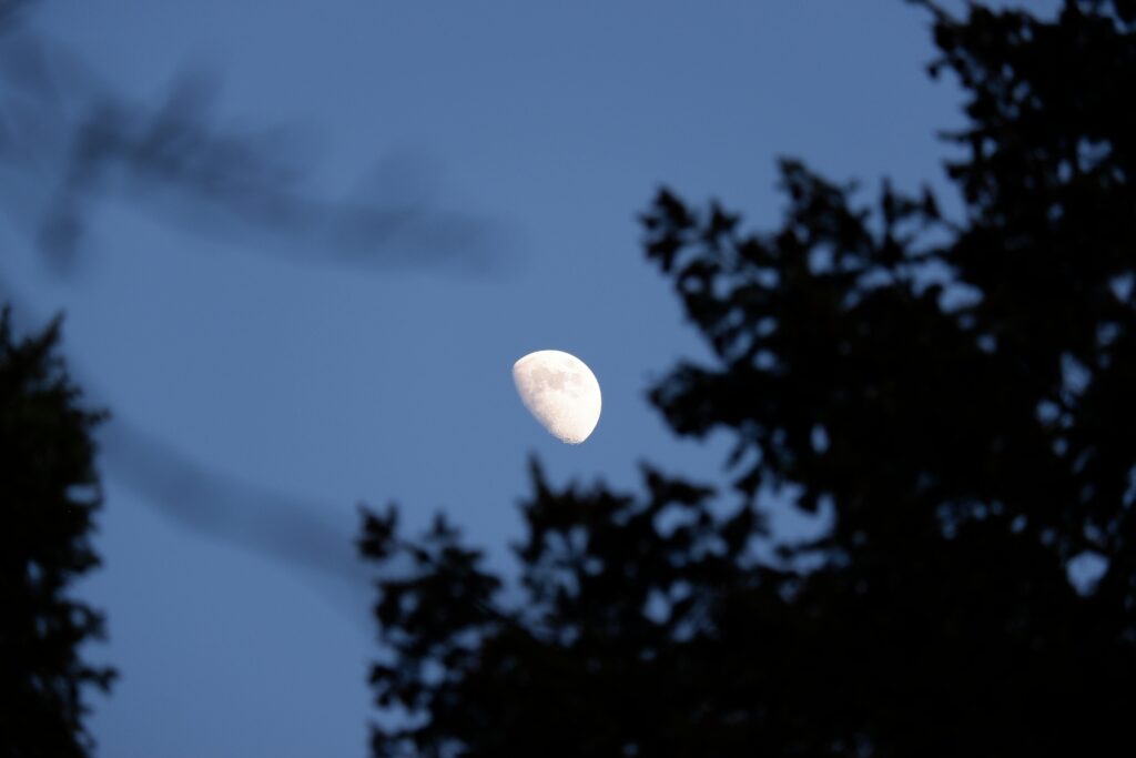 blue moon