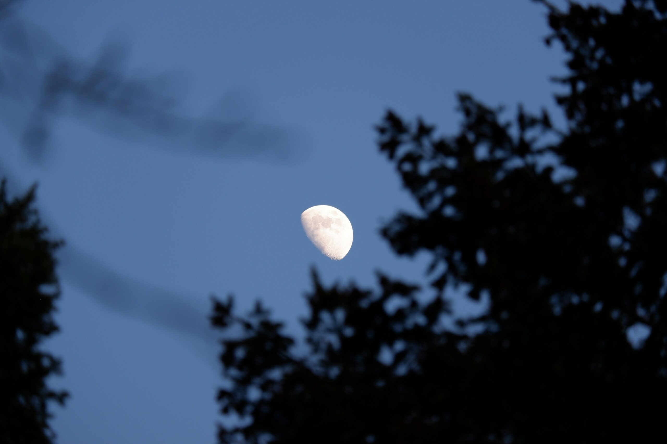 blue moon